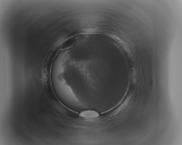 X0000102401449200808081255