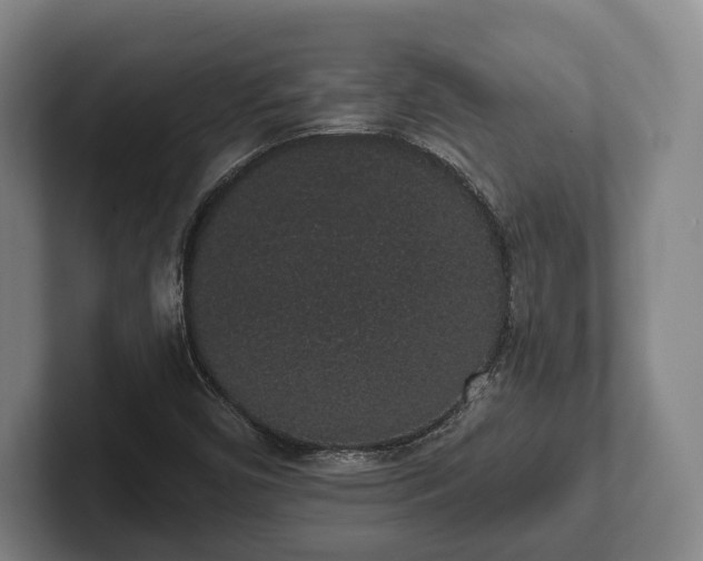 X0000102401450200808081255