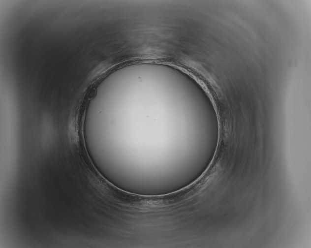 X0000102401451200808081254