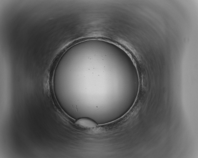 X0000102401452200808081254