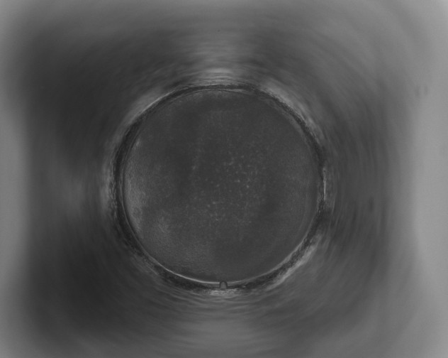 X0000102401453200808081254