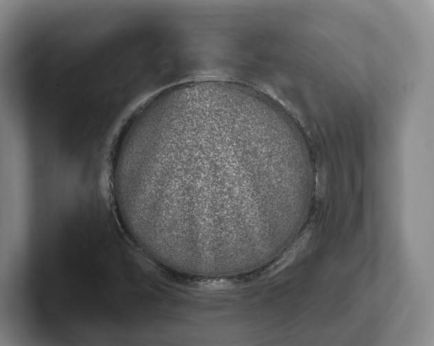 X0000102401454200808081254