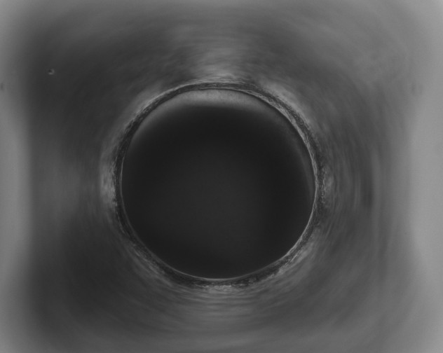 X0000102401455200808081254