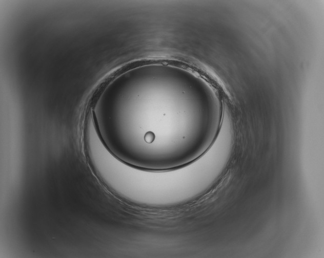 X0000102401456200808081254