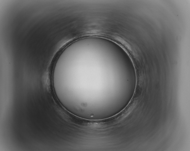 X0000102401458200808081254