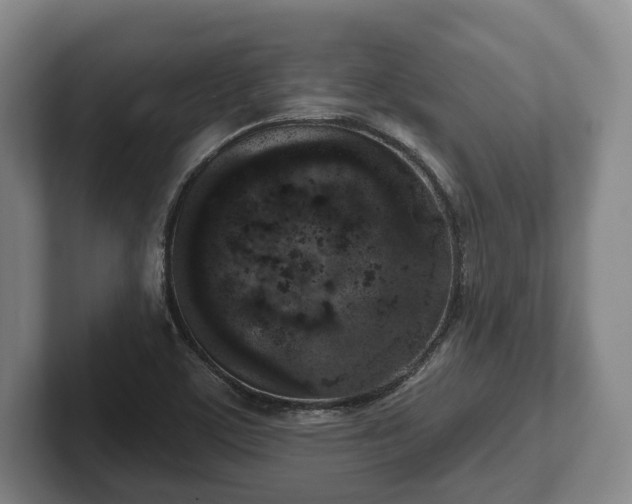 X0000102401459200808081254