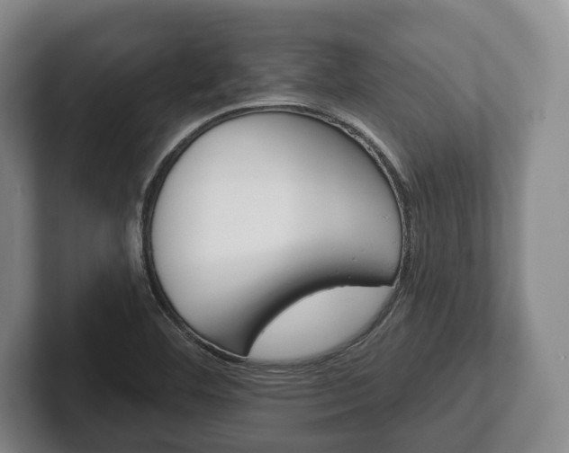 X0000102401460200808081254