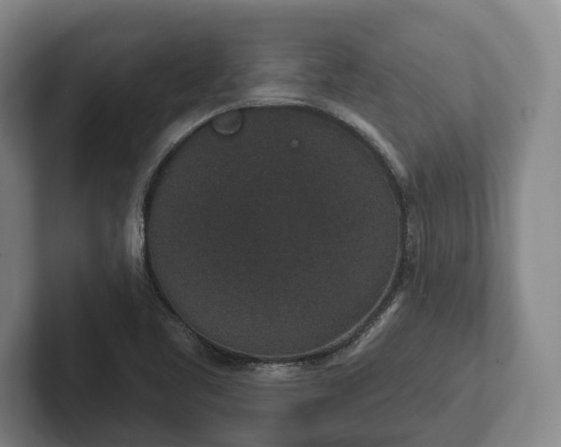 X0000102401461200808081254