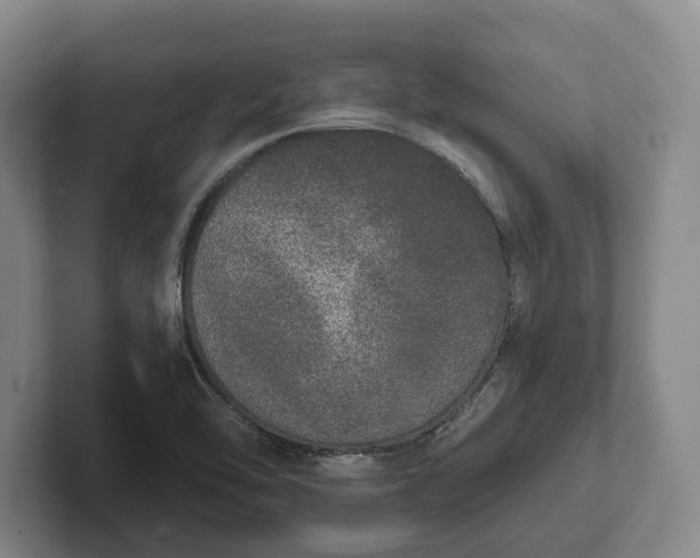 X0000102401462200808081254