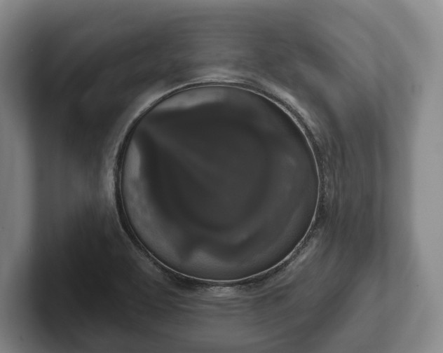 X0000102401463200808081254