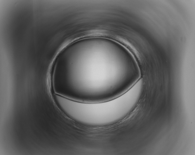 X0000102401467200808081254