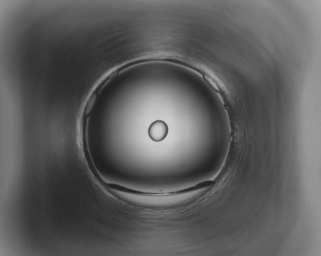 X0000102401468200808081254