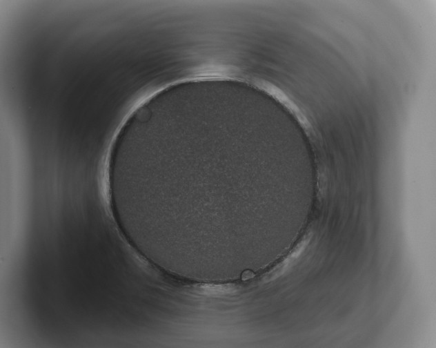 X0000102401469200808081254