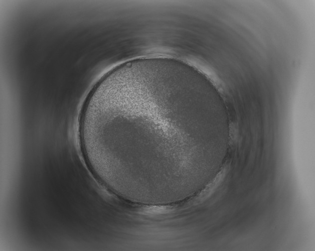 X0000102401470200808081254