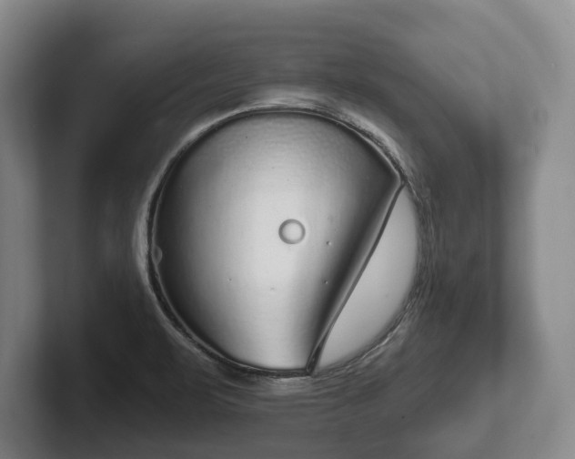 X0000102401471200808081254