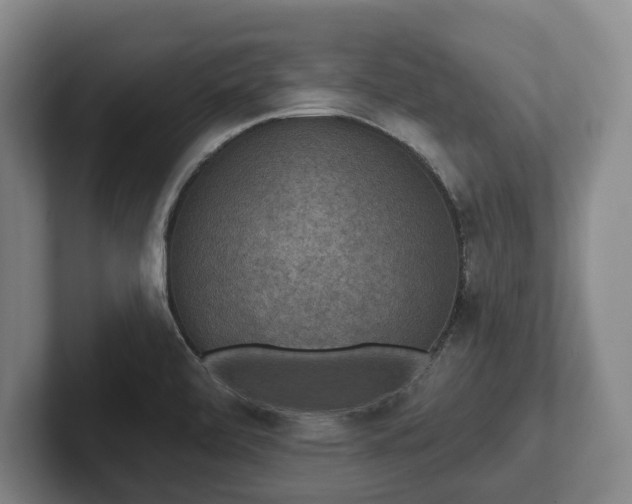 X0000102401472200808081254