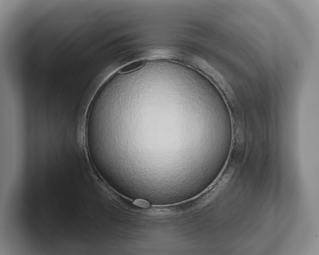 X0000102401473200808081254