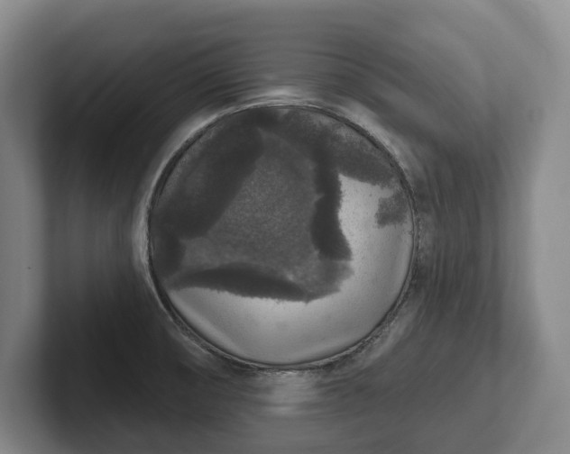 X0000102401474200808081254