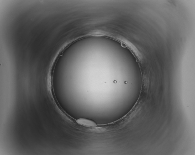 X0000102401476200808081254