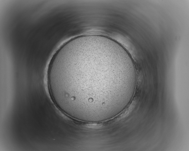 X0000102401478200808081254