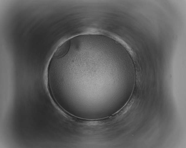 X0000102401479200808081254