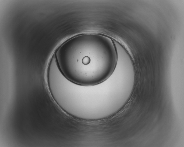 X0000102401480200808081254