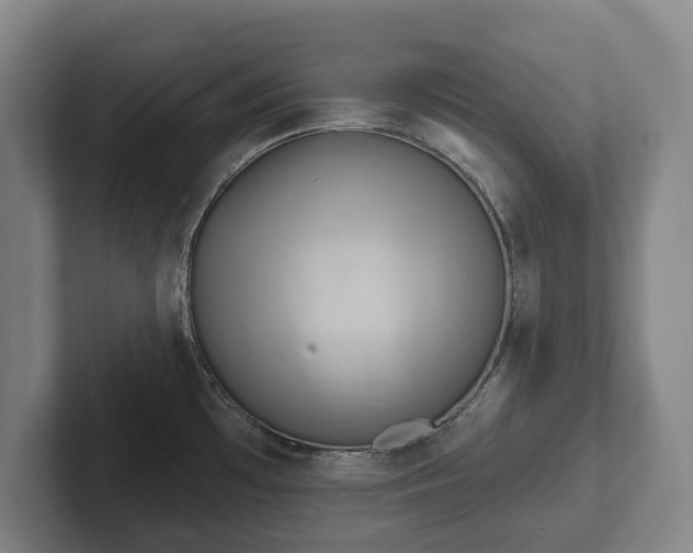 X0000102401481200808081254