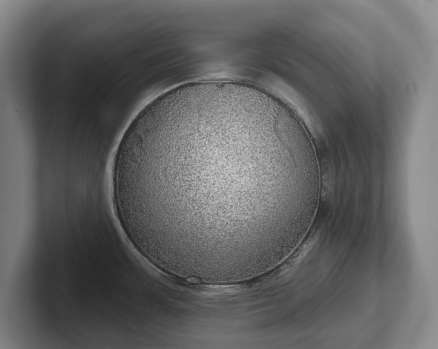 X0000102401483200808081254