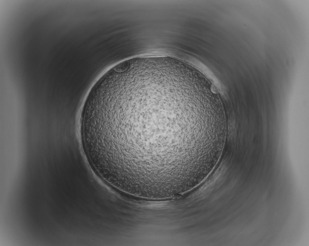 X0000102401484200808081254