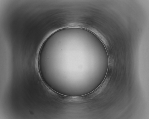 X0000102401486200808081254