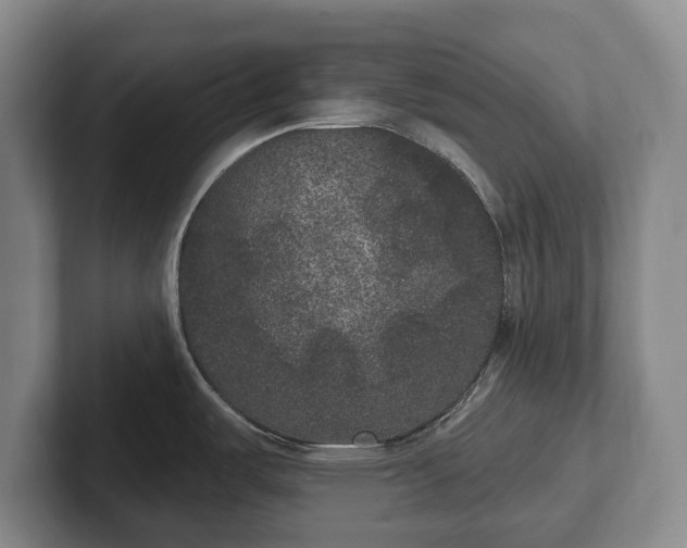 X0000102401487200808081254