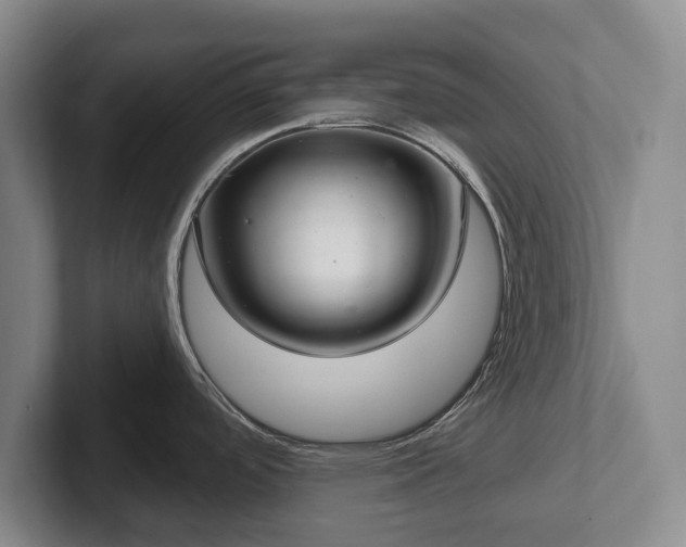 X0000102401488200808081254