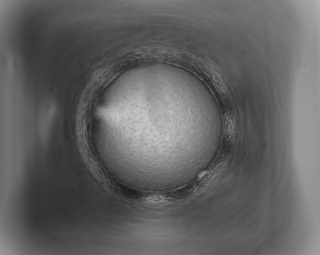 X0000102401489200808081253