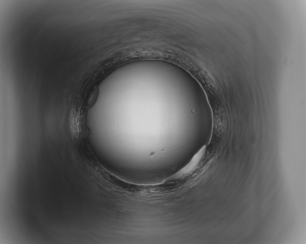 X0000102401490200808081253