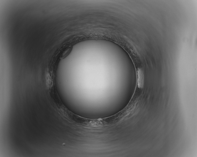 X0000102401491200808081253