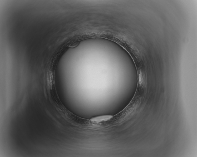 X0000102401492200808081253