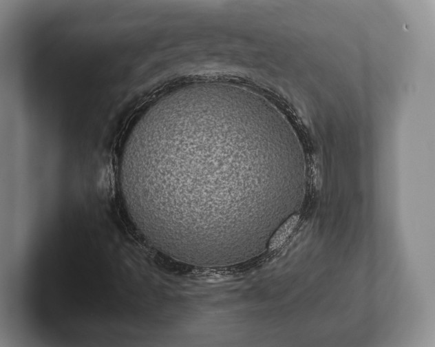 X0000102401493200808081253