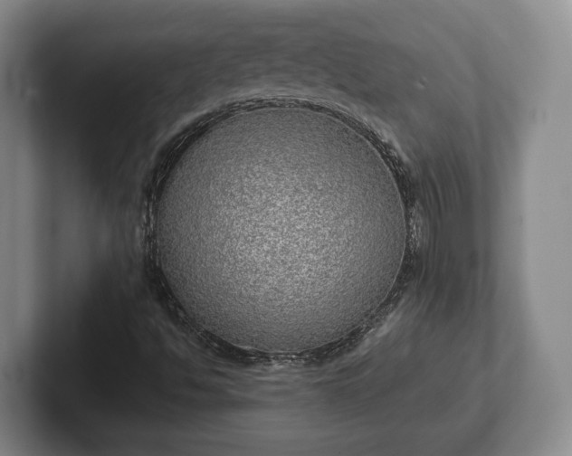 X0000102401494200808081253