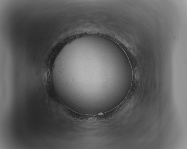 X0000102401495200808081253