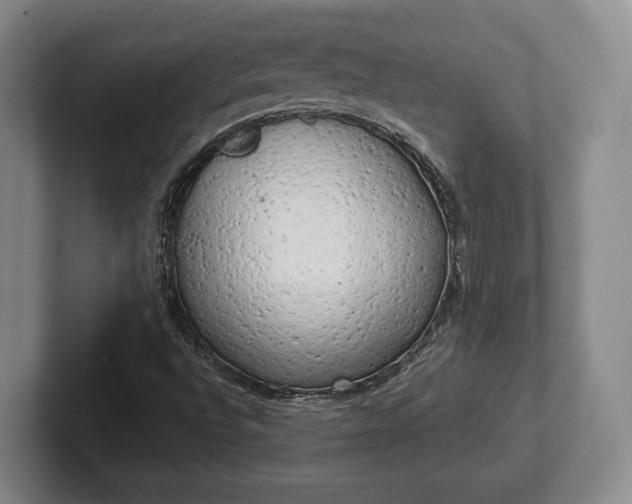 X0000102401496200808081253