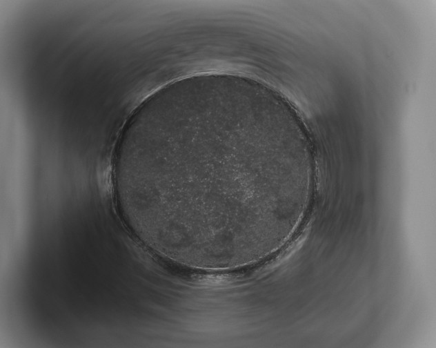 X0000102401497200808081253