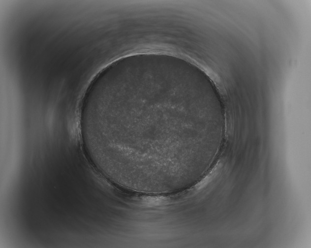 X0000102401498200808081254