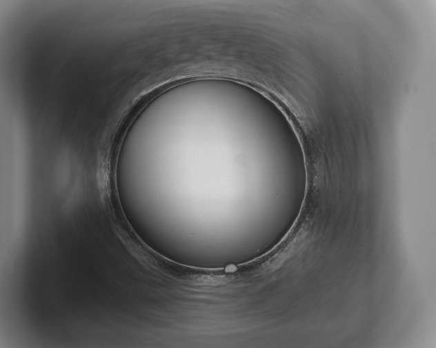 X0000102401499200808081254