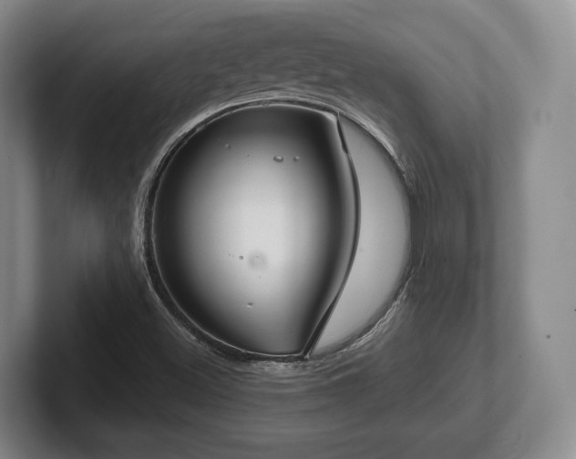 X0000102401500200808081254