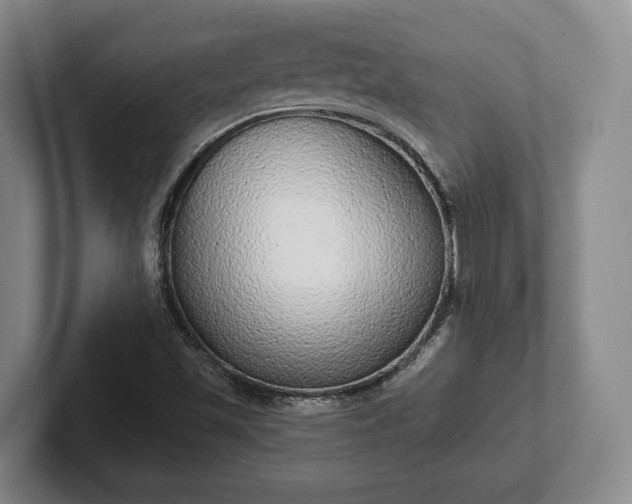 X0000102401501200808081254