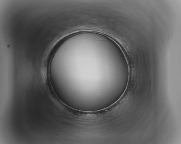 X0000102401503200808081254