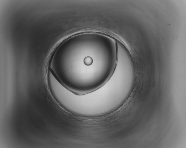 X0000102401504200808081254