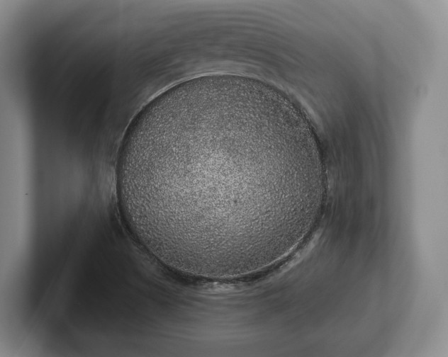 X0000102401505200808081254