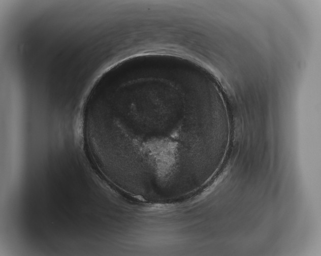 X0000102401506200808081254