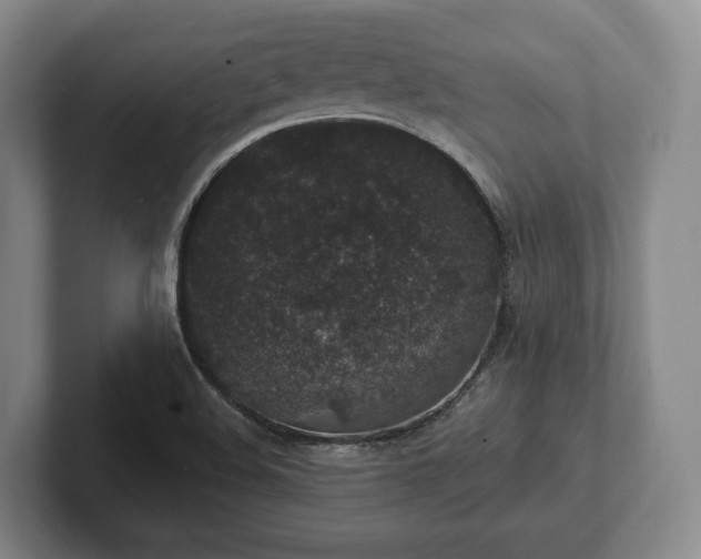 X0000102401508200808081254